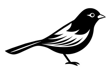 bird vector illustration