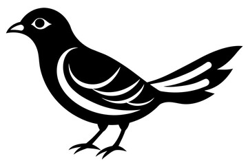 bird vector illustration