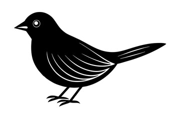 bird vector illustration