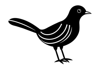 bird vector illustration