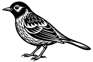 bird vector illustration