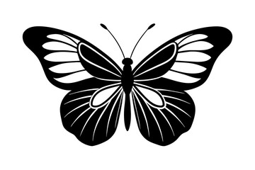 butterfly vector illustration