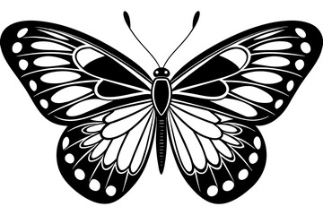 butterfly vector illustration