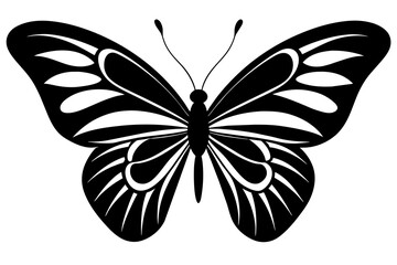 butterfly vector illustration