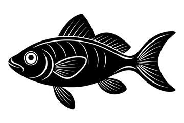 fish silhouette vector illustration