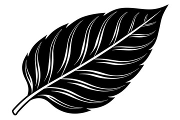 Obraz premium leaf silhouette vector illustration