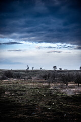 Water on the field .Floods in the field and forest . Sunset time , blue sky with clouds . Road in forest 
