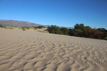 Sand dunes landscape of northwestern Argentina - obrazy, fototapety, plakaty
