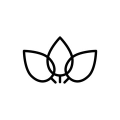 Leaf icon 