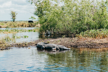 Gatorland in Orlando, FL