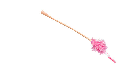 Pink feather duster Transparent Background Images