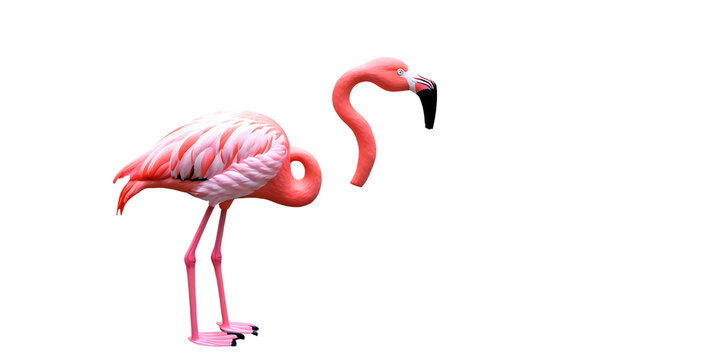 Pink flamingo lawn ornament Transparent Background Images