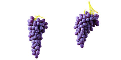 Purple grape cluster Transparent Background Images  - Powered by Adobe