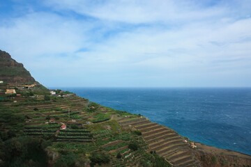 Lush green vegetation, neatly planted grapevines on terraced hills rolling to the deep blue...