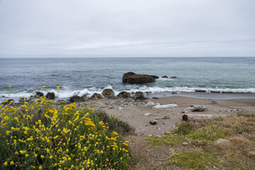 California coastline