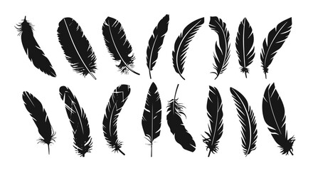 Variety of black silhouette feathers set vector art collcetion