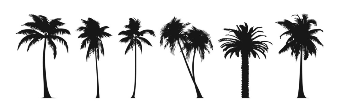 Silhouette vector set of palm trees art on white background