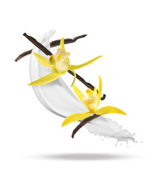 Vanilla pods and flowers with splash of milk in air on white background