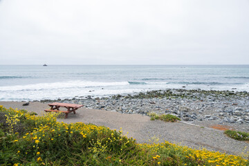 Fototapeta na wymiar California coastline