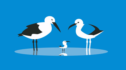 Fototapeta premium two birds on the beach