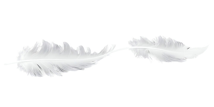 White feather Transparent Background Images 