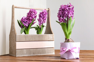 Pink hyacinth flowers in pot and crate on wooden table near light wall