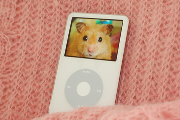 Hamster on iPod screen