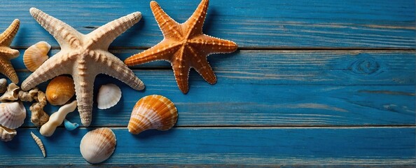 Beach scene concept with sea shells and starfish on a blue wooden background