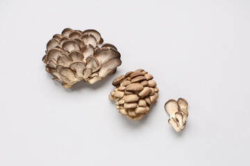 Fresh oyster mushrooms on grey background