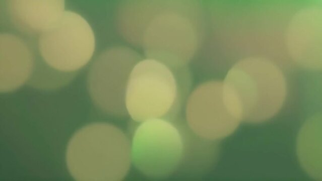 A close-up of a blurry green background, suitable for a variety of design projects