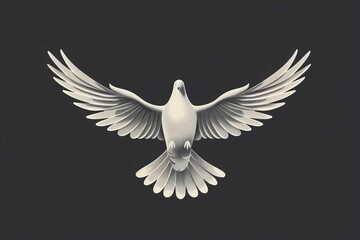  Dove with open wings symbolizing the Holy Spirit, black background, religious illustration