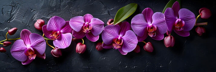 magnolia flower in the garden,
Dark purple orchid flower in black background