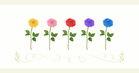 colorful rose flowers vector illustration