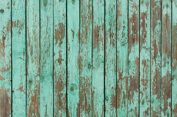 Fototapeta na wymiar Texture of old weathered green plank fence with peeling paint