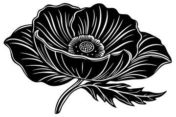 black and white flower