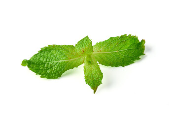 fresh mint leaves isolated on white background. Mint leaves have a fragrant aroma, and can be used...
