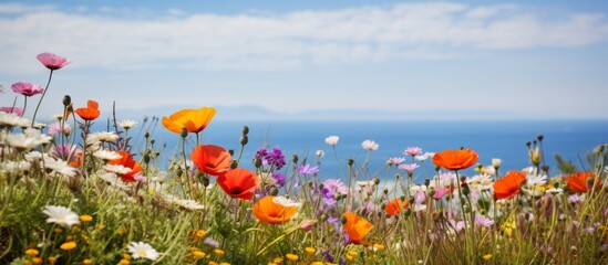 Wild, vibrant flowers bloom abundantly in a scenic meadow that offers a stunning view of the...