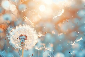 Delicate dandelion seeds dispersing in the wind, dreamy bokeh background, beautiful macro photography