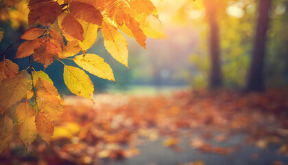 Image of autumn, autumn leaves, fallen leaves, and a blurred background. - obrazy, fototapety, plakaty