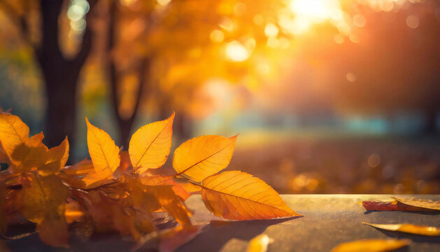 Image of autumn, autumn leaves, fallen leaves, and a blurred background.