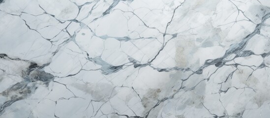 A high-quality image showcasing the unique white and gray albino marble texture with a striking black and white pattern, ideal for background designs in various projects - obrazy, fototapety, plakaty