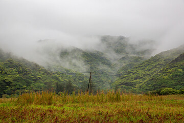奄美地方梅雨入り間近