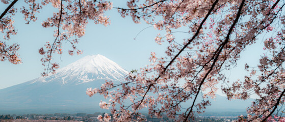 Mount Fuji in springtime with cherry tree in full bloom, Fuji Five Lakes, Japan - 776723791