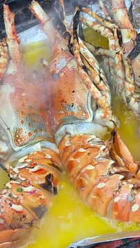 Close up easy homecook meal served several red orange color arranged aligned perfectly cooked garlic butter lobster tails with parley baked or broiled for lunch. and dinner