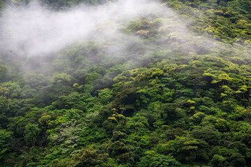 奄美地方梅雨入り間近