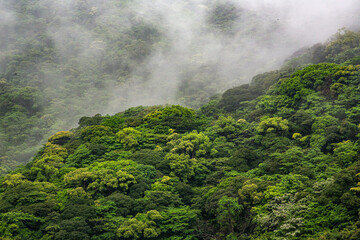 奄美地方梅雨入り間近