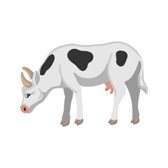 vector drawing white cow, farm animal isolated at white background, hand drawn illustration - 776727146