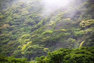 奄美地方梅雨入り間近