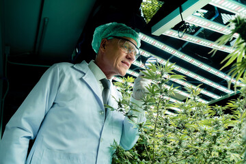 A man in a lab coat is looking at a plant. He is wearing a green hat and a white lab coat