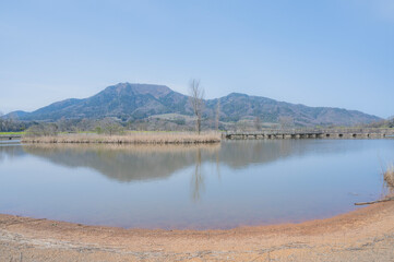 Obraz premium 新潟 上堰潟公園（新潟市）